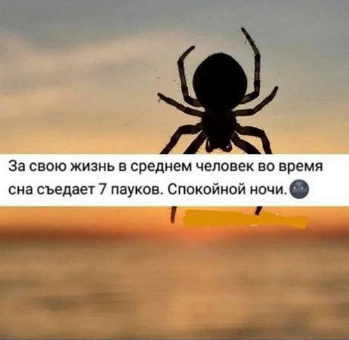Когда кофе действительно бодрит