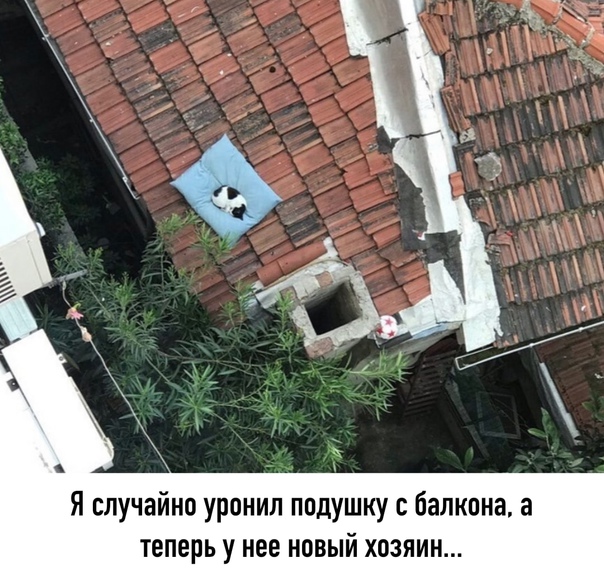 Картинки и мемы для настроения - 11