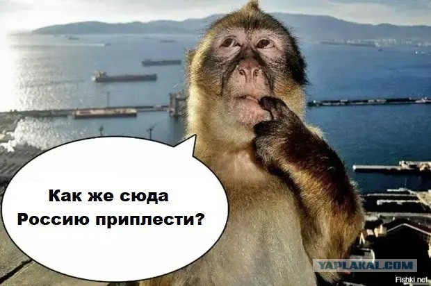 Опубликована карта загрязнения Европы в случае аварии на ЗАЭС