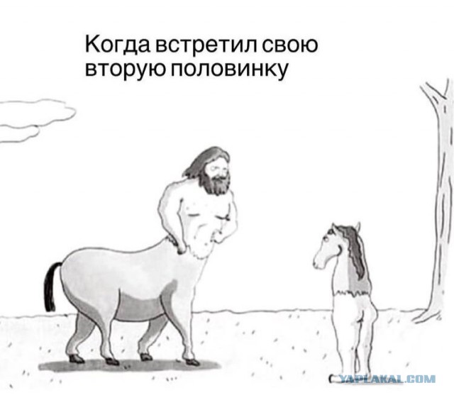 Народная меДИЧина 5010