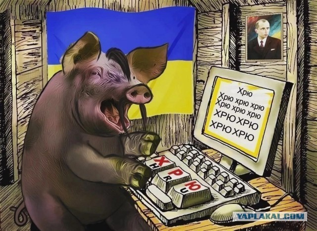Код Баргладер!