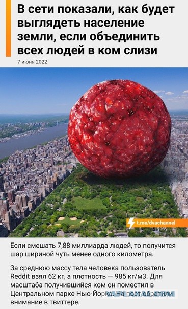 Крым. Первый раз на море. Беспризорные южные фрукты. Мидии. Рапаны