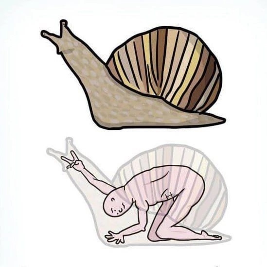 Нуштош 18.05.2023