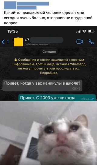 Картинки и мемы для настроения - 181