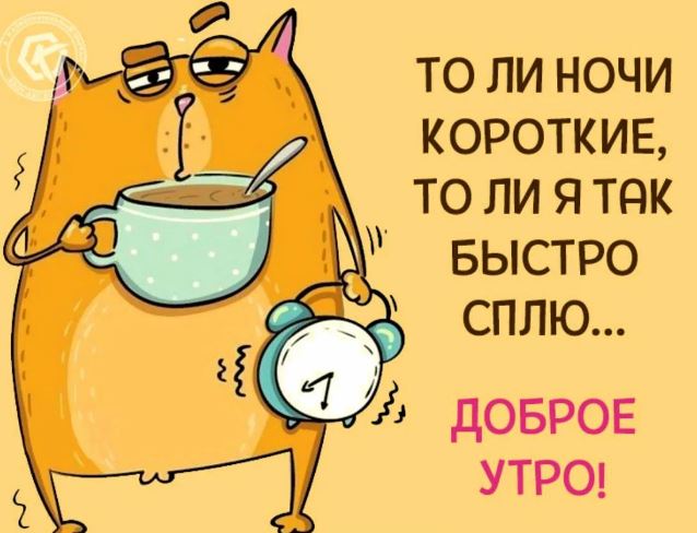 Демократия в опасности!