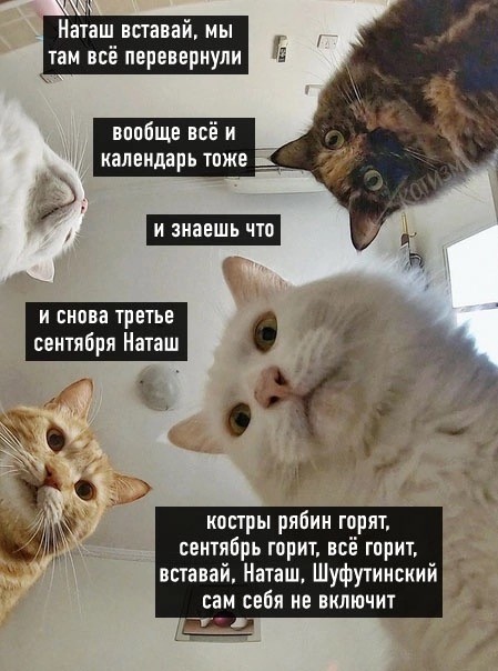 Юмор в картинках и без