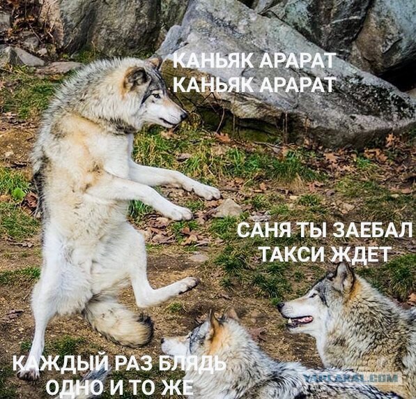 10 популярных мемов, которые подарило нам кино