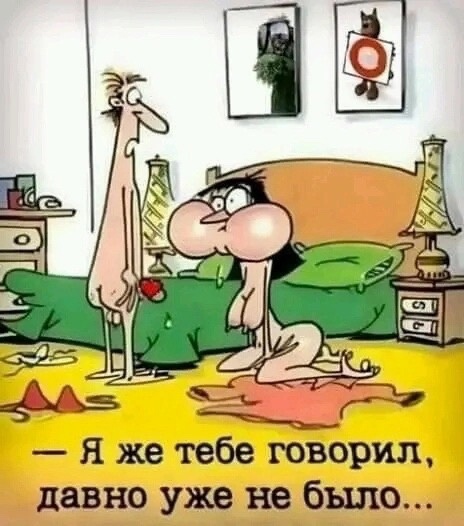 40 пятничных картинок 29.12.2023