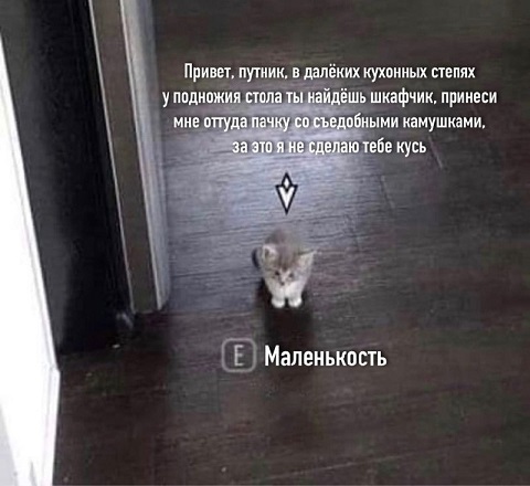 Когда заходишь на чай