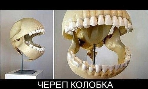 Так себе картинки 10.04.24
