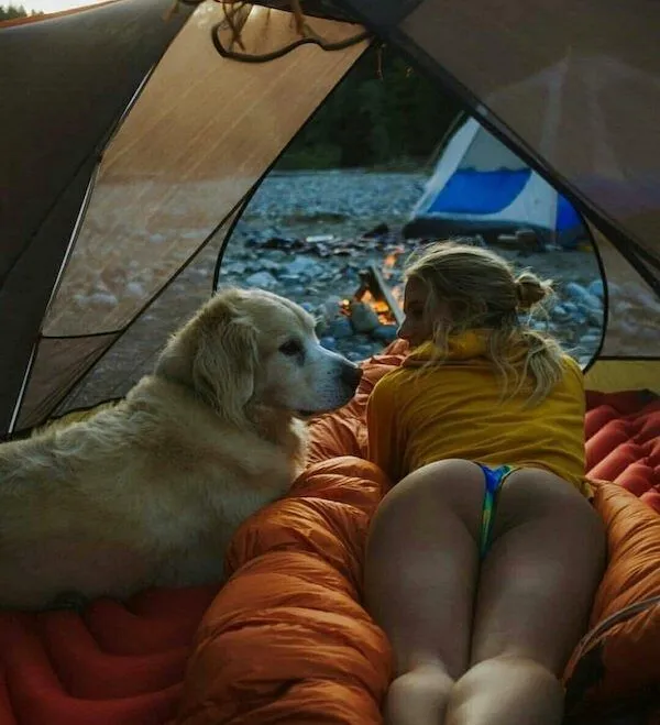 ФотоВинегрет