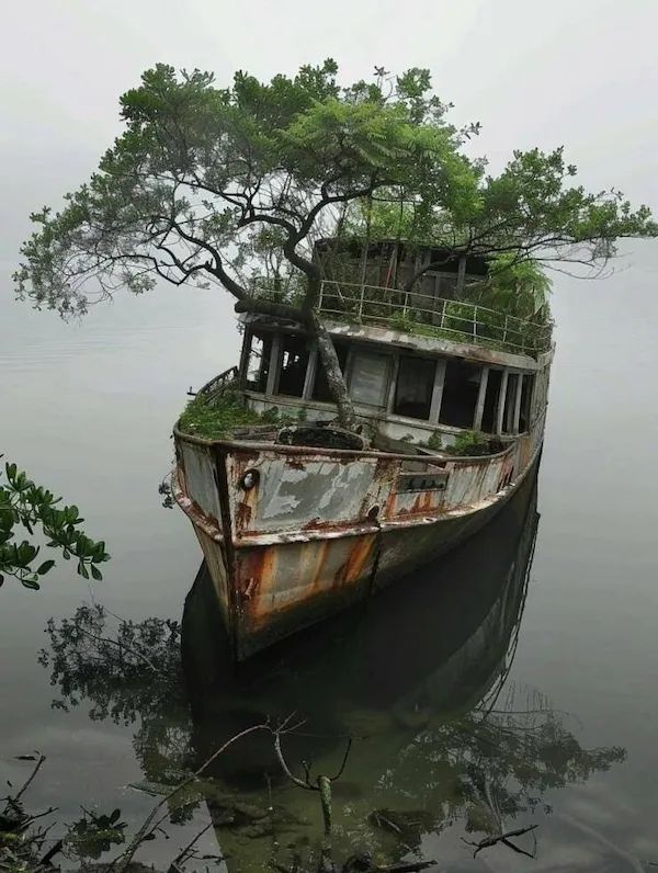 ФотоВинегрет