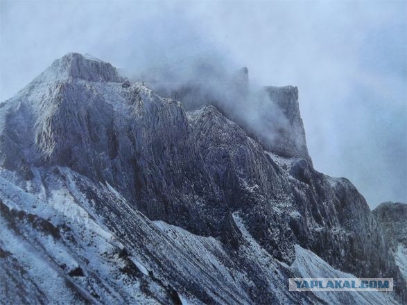 Товарищ Ким Чен Ын