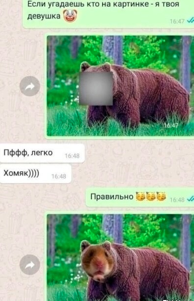 Так себе картинки 16.07.24