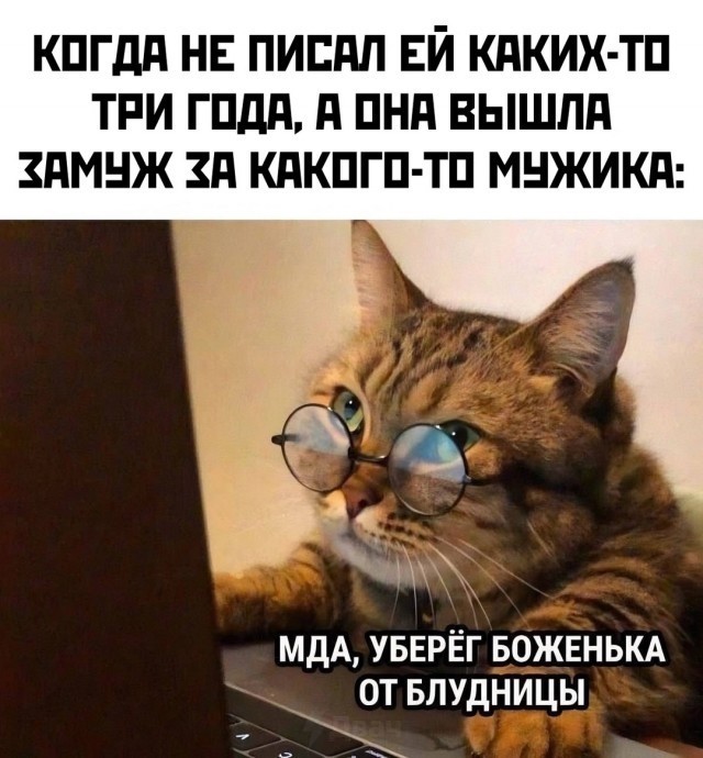 Девушка попросила в Хвиттере остальных скинуть любимые мемы с котами