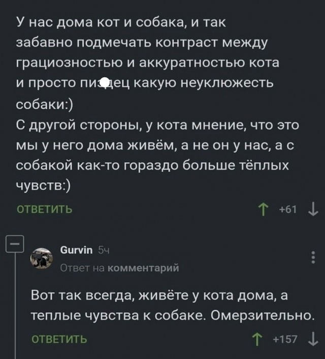 Так себе картинки 15.09.25
