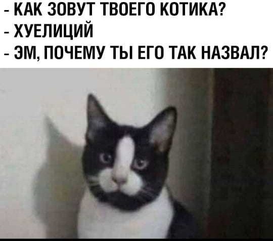 Так себе картинки 24.09.25