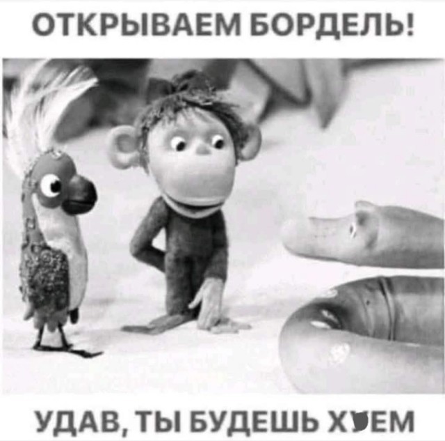 В Сингапуре мужчина вступил в схватку с питоном, чтобы спасти кота