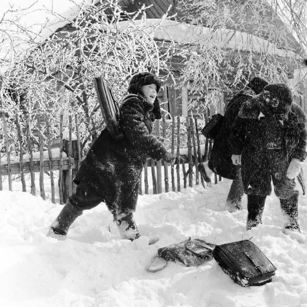 Смешал, но не взбалтывал: 20.12.2025