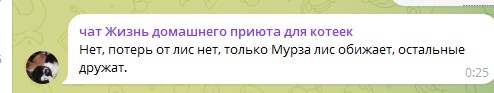 Жизнь домашнего приюта для котеек 574