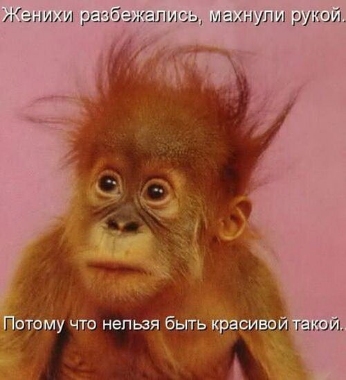 Россиянки стали чаще рожать «для себя» от доноров