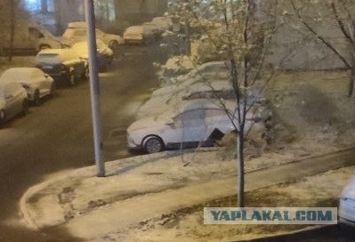 Сова падла