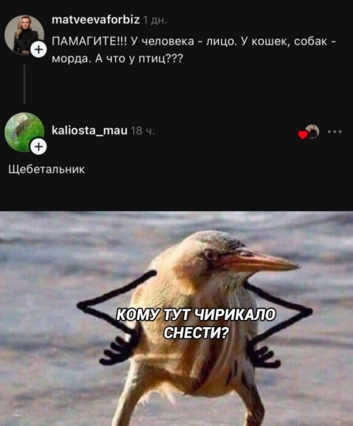 Картинки для деградации 248 (разной степени свежести)