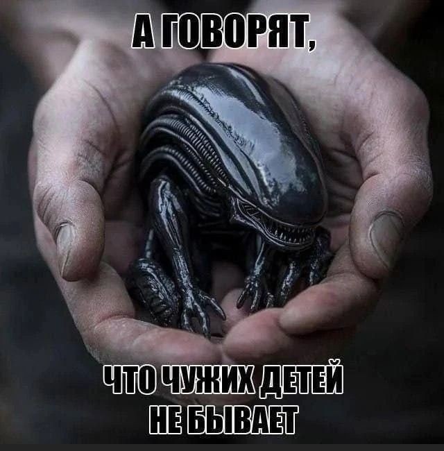 Разные картинки 03.08.26