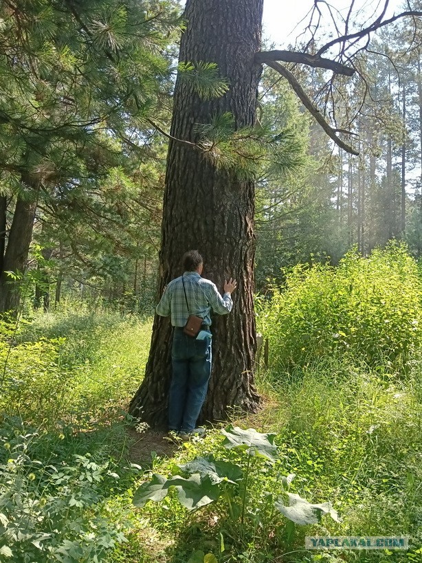 Байкал. Офигенно.