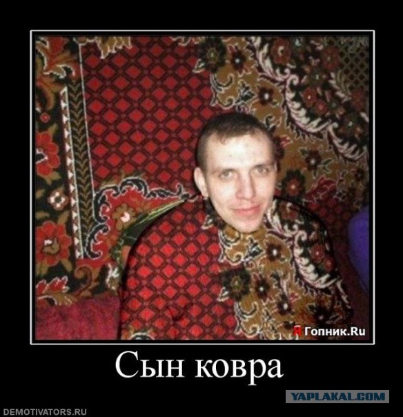 Плюш 1