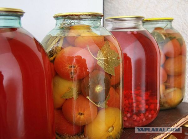 Полдень, 1-е..