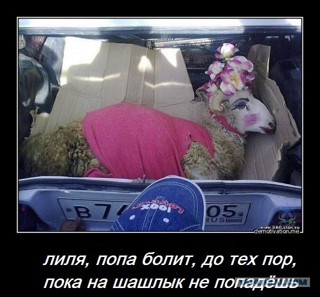 Как проходят свадьбы болгарских горцев