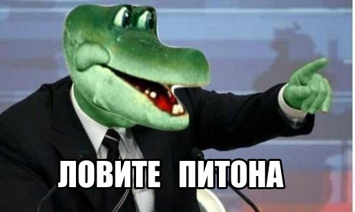 Просто питон ест крокодила...