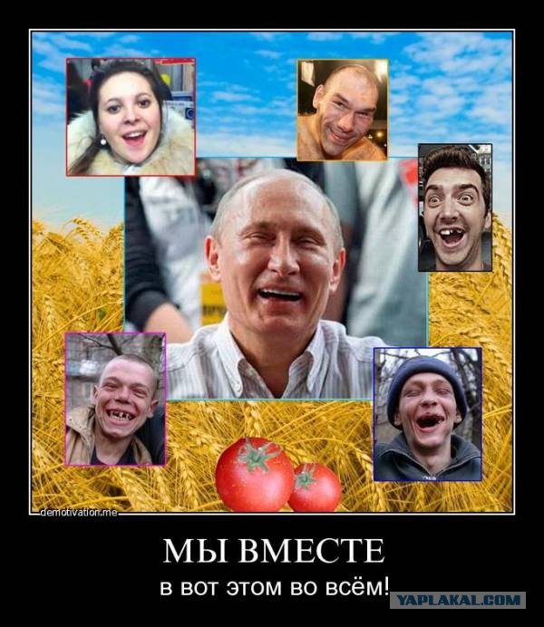 ИП? Давай до свидания!