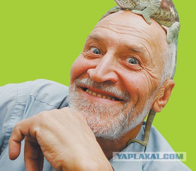Срочно ищецца мужик!