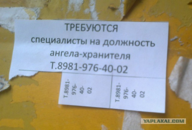 Надписи и объявления с просторов