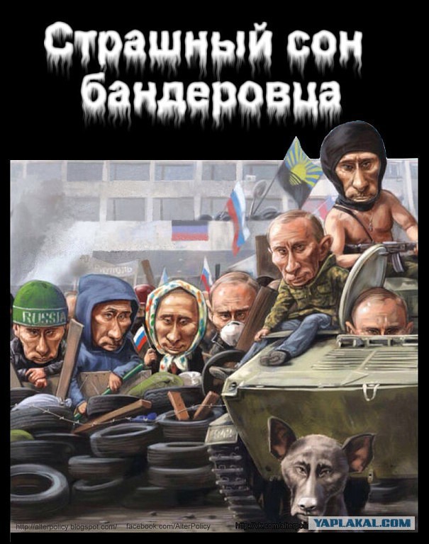 Свежие картинки из сети