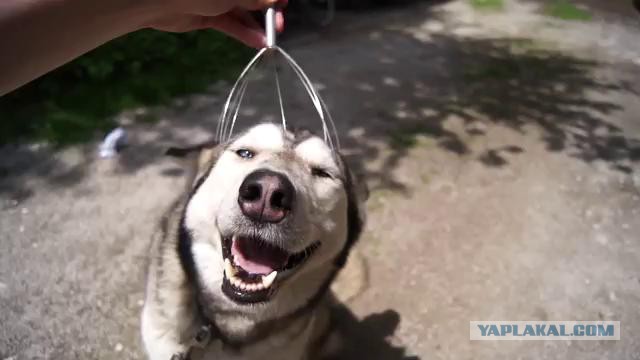 Кто-то реально им пользуется?