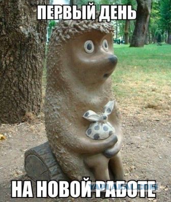 Немного картинок с просторов