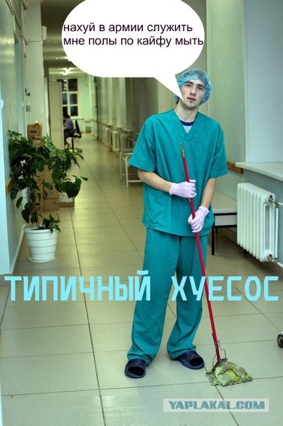 Прикольные картинки из сети