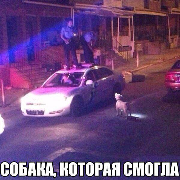 Автоприколы-7