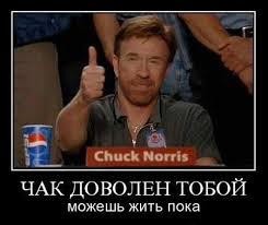 Австралиец забил насмерть акулу оторванной ногой