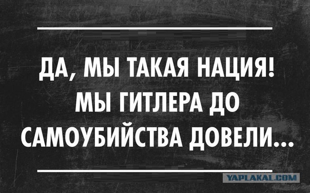 Политотка
