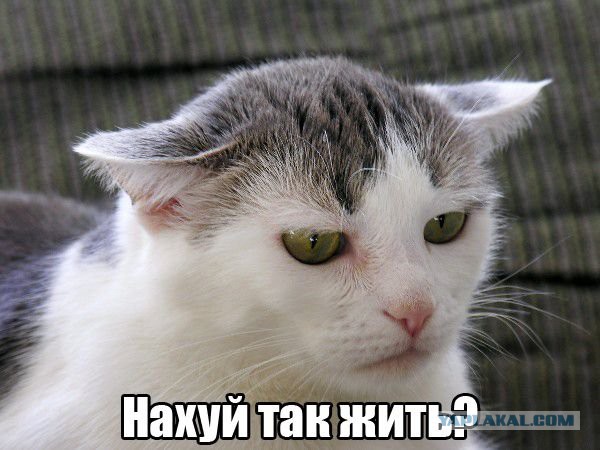 Экстравагантные покупатели Walmart