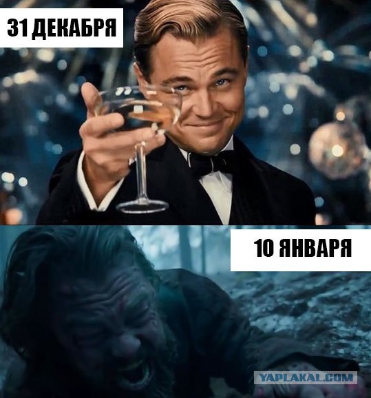 Пучок смешных картинок