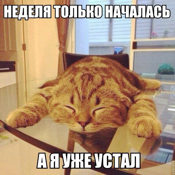 Пучок смешных картинок
