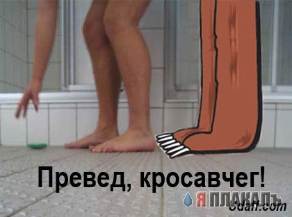Превед медвед!
