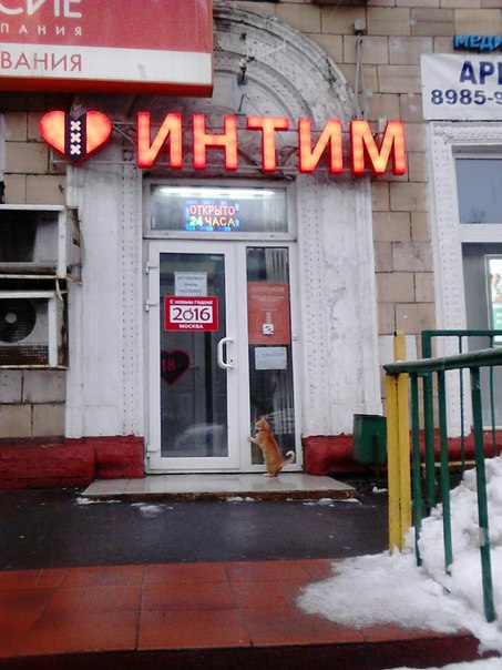Подборка картинок из сети