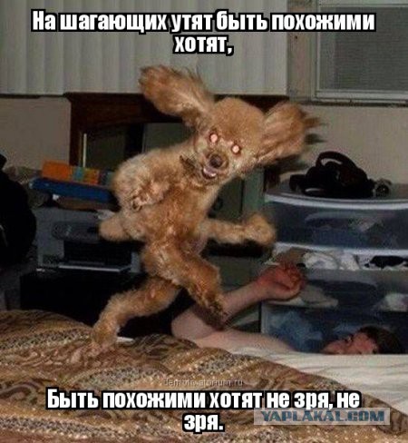 Веселые картинки