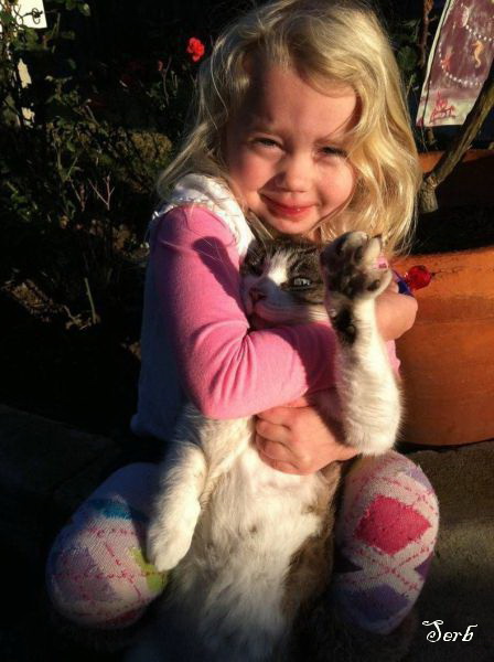 Дети и коты
